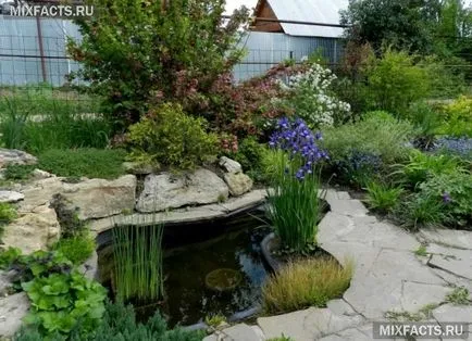 Iazul de baie din țară cu propriile lor mâini (foto)