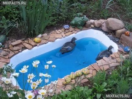 Iazul de baie din țară cu propriile lor mâini (foto)