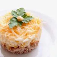 Tomate - (mai mult de 36 de rețete) cu fotografii de pe