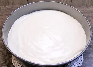 Rețetă luxuriantă și delicios tort pas cu pas biscuit cu fotografii