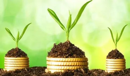 Cont de economii în Banca de Economii - ceea ce este, comentarii