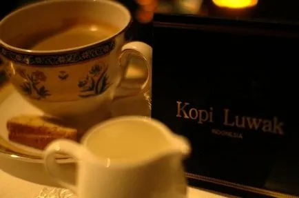 Cafeaua cea mai scumpă din lume - este de cafea de pini kakashek pe blog-ul lui Harry chimist (cea mai scumpa cafea) Cafeaua cea mai scumpă din lume - este de cafea de la kakashek blog-ul lui Harry chimist pini