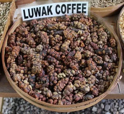 Cafeaua cea mai scumpă din lume - este de cafea de la kakashek blog-ul lui Harry chimist pini (lumea) Cafeaua cea mai scumpă din lume - este de cafea de la kakashek blog-ul lui Harry chimist pini