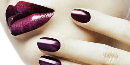 blyuskay Shellac și în special utilizarea acestuia