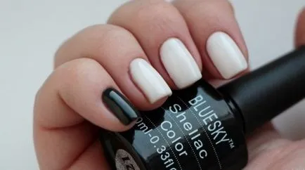 Shellac Shellac „blyuskay“ - paleta de culori, cum se aplica gel de unghii de unghii
