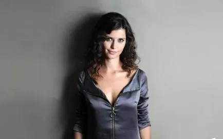 actori de serie și biografiile acuzat pe nedrept lor (vinovăție) Acuzat actori de serie în mod abuziv și biografiile lor