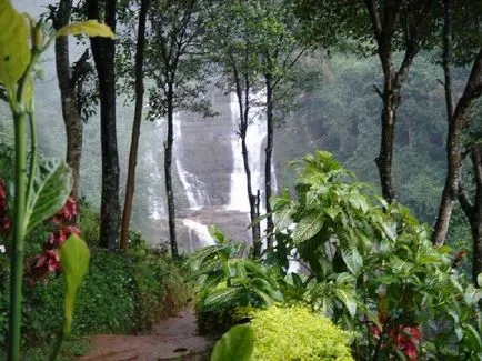 Sri Lanka - Informație despre țară
