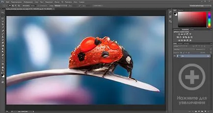 Descarcă gratis Photoshop în limba rusă