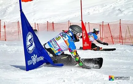 Descriere Snowboarding, istorie, norme, vederi, echipamente