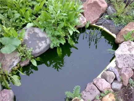 Construim un iaz în țară cu propriile lor mâini pas cu pas din baie (pas cu pas) Construim un iaz în țară cu propriile lor mâini pas cu pas din baie