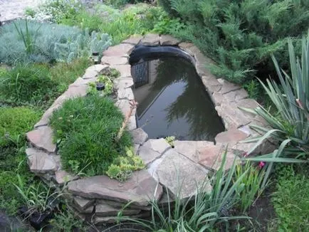 Sunt construirea unui iaz în țară cu propriile lor mâini pas cu pas din baie (mâini) Construim un iaz în țară cu propriile lor mâini pas cu pas din baie