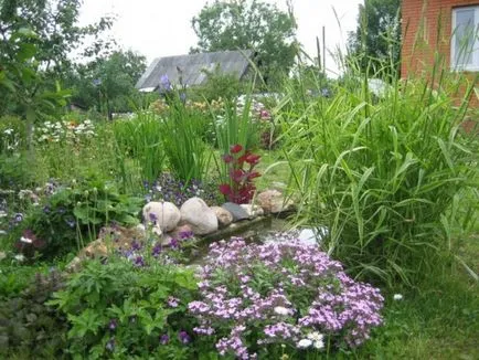 Construim un iaz în țară cu propriile lor mâini pas cu pas din baie (cabana) Construim un iaz în țară cu propriile lor mâini pas cu pas din baie