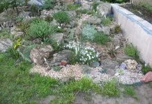 alpine grădină de construcții, în apropiere de casa