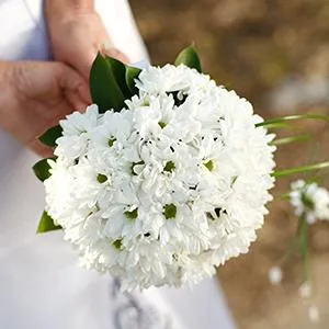 Nunta în margaretele