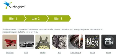 Surfingbird - traficul și activitatea socială, propriul său web-developer
