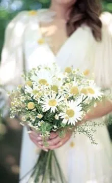 Buchet de margarete fotografie, idei desen