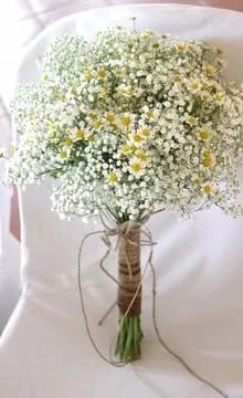 Buchet de margarete fotografie, idei desen