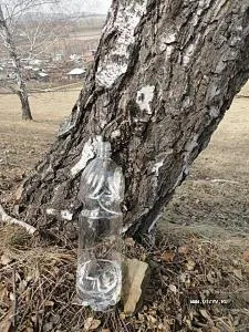 Aulia de primăvară Sfânt în Bashkortostan