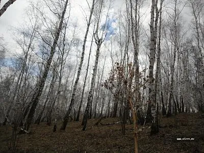 Aulia de primăvară Sfânt în Bashkortostan