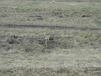 Aulia de primăvară Sfânt în Bashkortostan