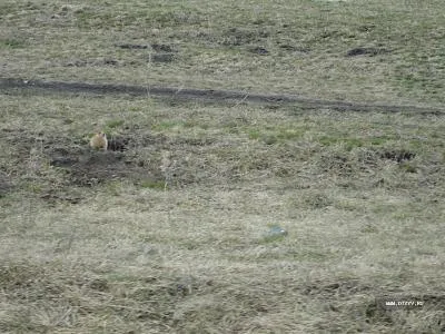 Aulia de primăvară Sfânt în Bashkortostan