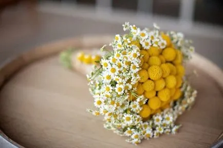Buchet de margarete fotografie, idei desen