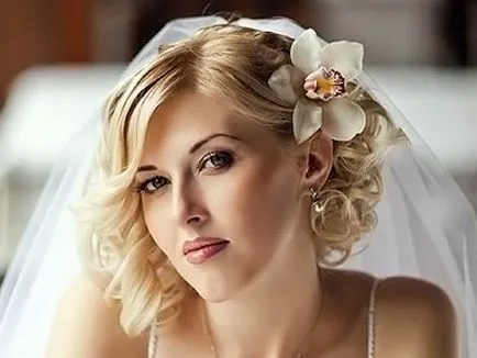 Coafuri de mireasa cu tiara si voal imagine cele mai frumoase mirese (cum coafuri costum) Coafuri de mireasa cu tiara si voal imagine cele mai frumoase mirese