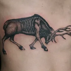 dotvork stil de tatuaj (dotwork), fotografii și schițe de tatuaj