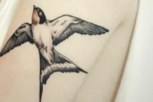 farmece de tatuaje pentru bărbați