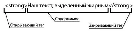 tag-uri HTML în web design