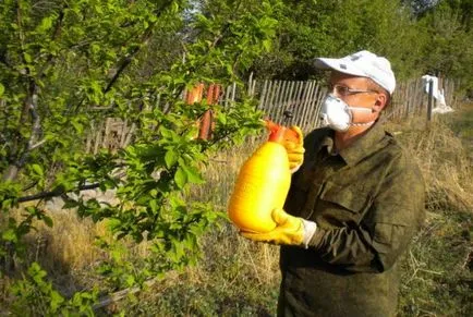 Afidele pe o prună cum să se ocupe de o amenințare decât vă puteți pulveriza chiuveta