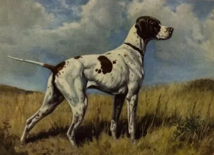 Top 10 rasa pe cale de disparitie de câine