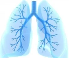 testele pulmonare-Uzi Uzi (plămân) Uzi pulmonare-teste cu ultrasunete