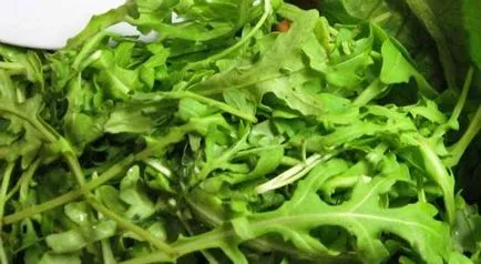 Cultivarea rucola în condiții de câmp deschis, cultură, soiurile recomandate