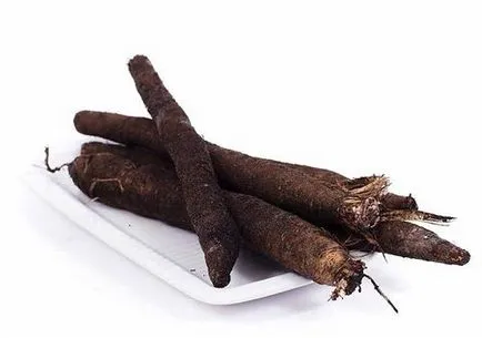 Scorzonera cultivare