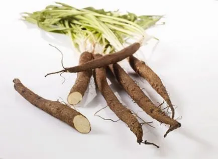 Cultivarea Scorzonera, să crească o grădină! (Scorzonera) Cultivarea Scorzonera, să crească o grădină!