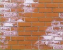 Eflorescente ce este și cum să scape de ele - bloguri