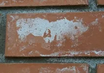 Eflorescente ce este și cum să scape de ele - bloguri