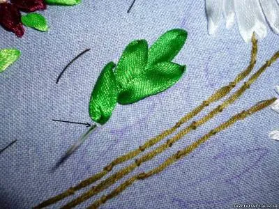 panglici de broderie Daisy, comandantul - o clasă pentru începători - sfat bun - gradina de legume, gradina, casa