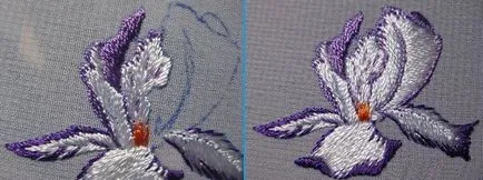 mașini de brodat Stitch, circuit, lecții pentru începători