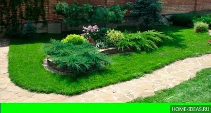 Coniferele pentru reguli Gardens fotografie, numele, tipul și compoziția de conifere în grădină