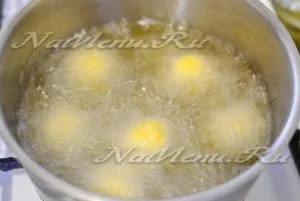 Fried bile de brânză 7 cele mai bune rețete (brânză) Fried bile de brânză 7 cele mai bune rețete