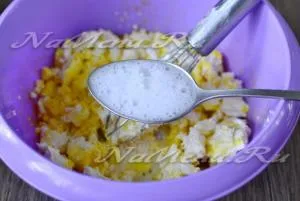 Fried bile de brânză 7 cele mai bune rețete (brânză) Fried bile de brânză 7 cele mai bune rețete