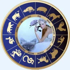 Cat Feminin (iepure)