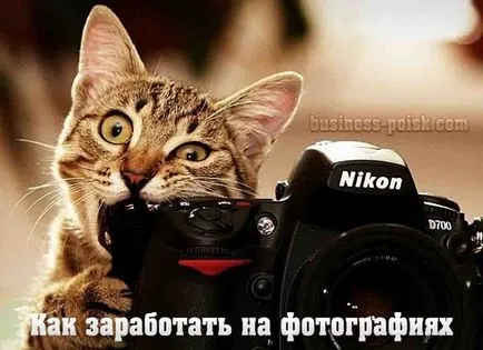 Cu photobanks Câștiguri