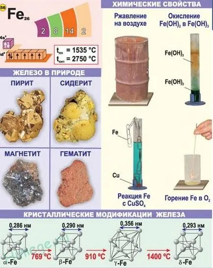 Iron - caracterizarea celulară totală, proprietățile chimice ale fierului și compușii săi