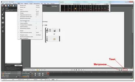 Introducere la chitara pro 6
