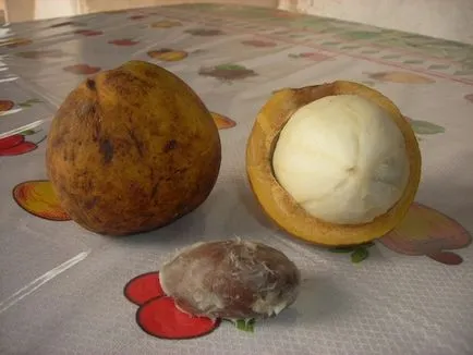 Fructe precum Fructe precum
