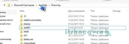 Ce AppData dosar