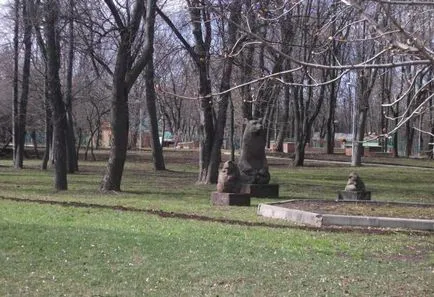 Spitalul psihiatru Spitalul psihiatru